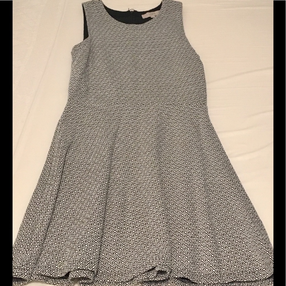 Loft Shift Dress